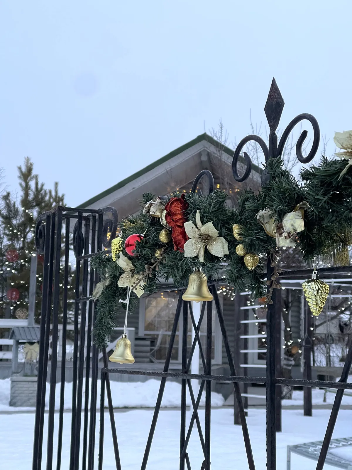 Территория зимой